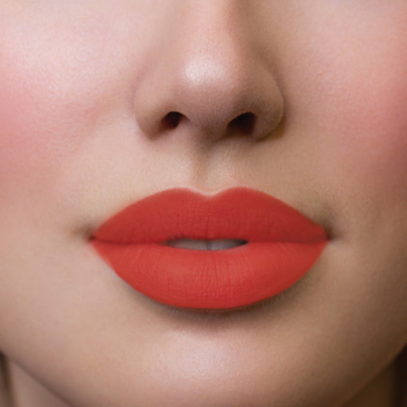 Labial Semimate Con Vitamina E Zermat Eleganzza